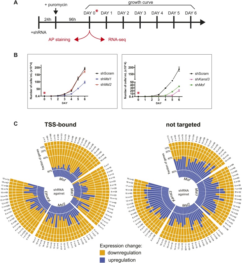 Figure 3—figure supplement 3.