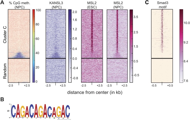 Figure 4—figure supplement 3.