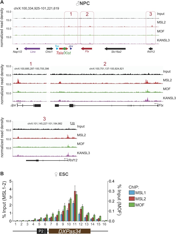 Figure 5—figure supplement 1.