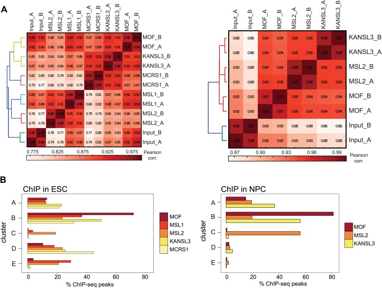 Figure 2—figure supplement 1.