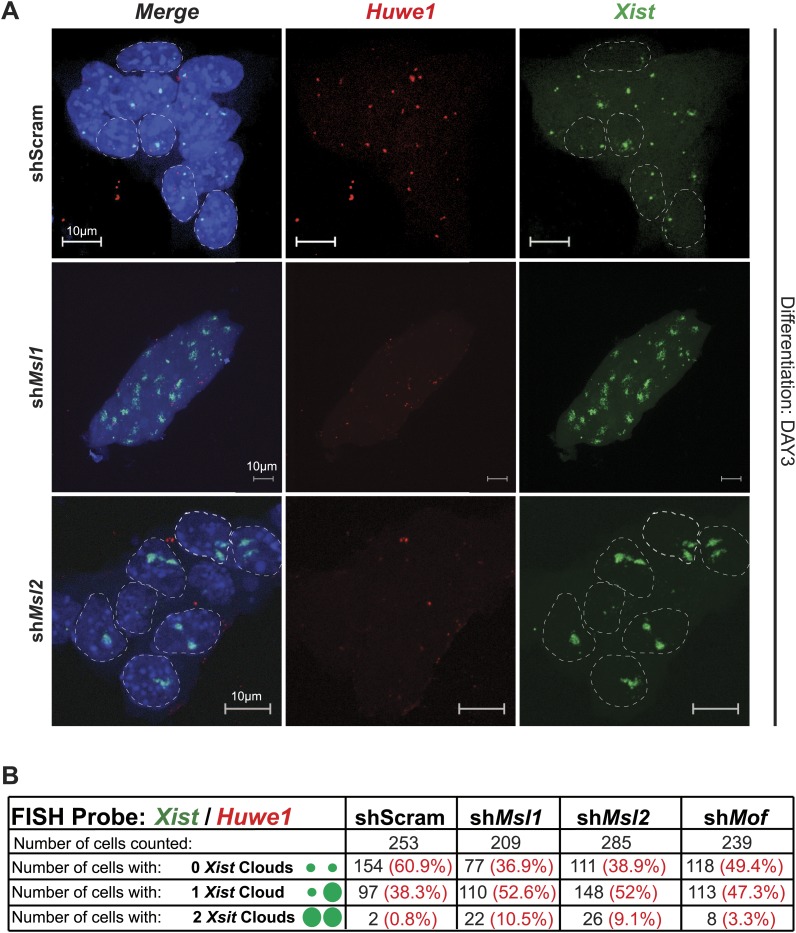 Figure 7—figure supplement 2.