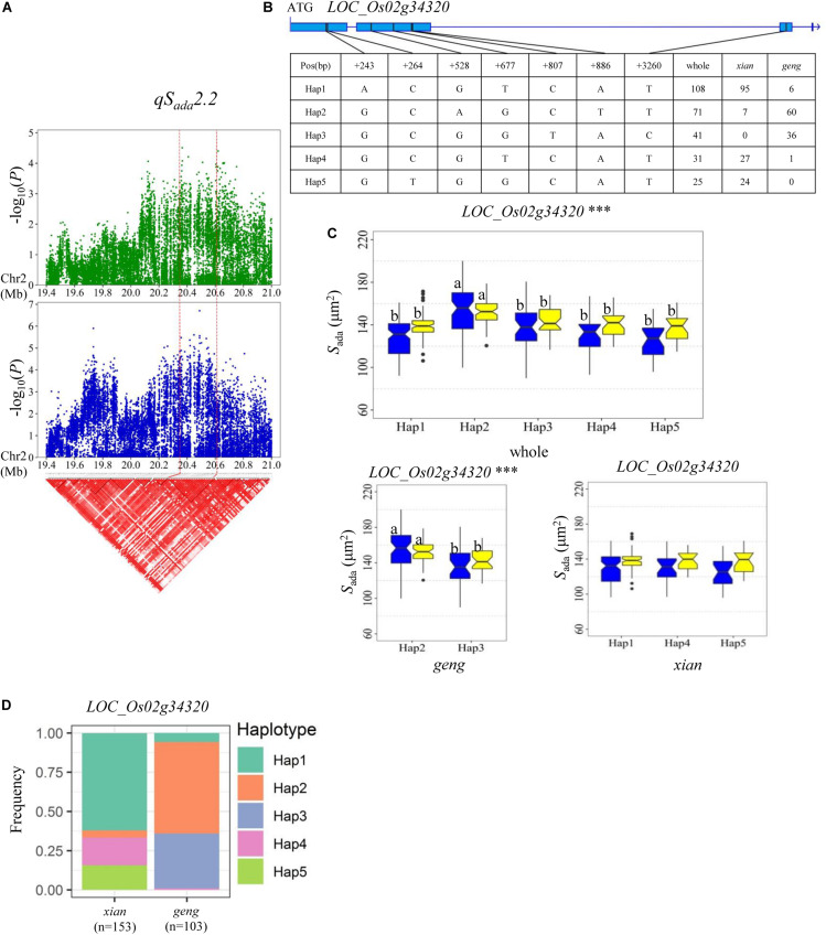 FIGURE 6