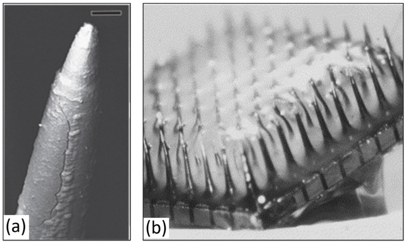 Figure 17