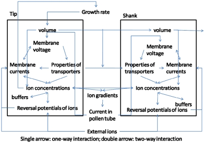 Figure 9