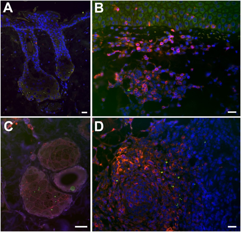 FIGURE 4.