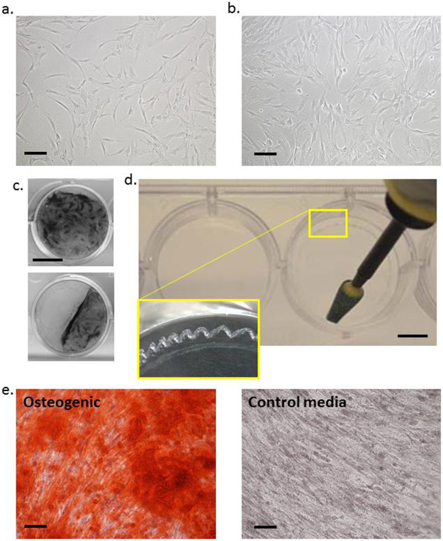 Figure 1: