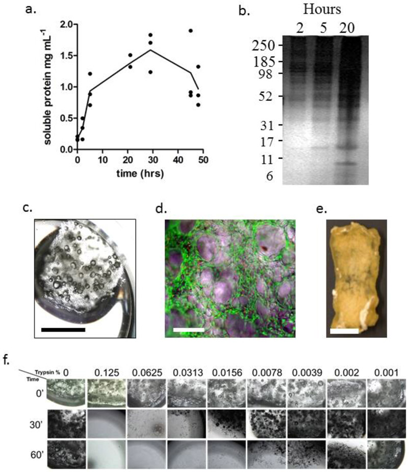 Figure 3: