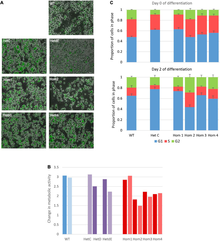 FIGURE 3