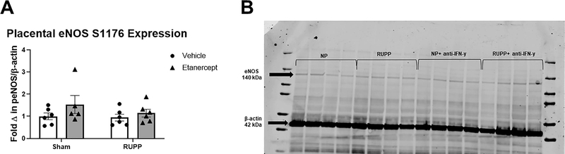 Figure 6: