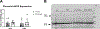 Figure 5: