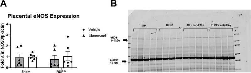 Figure 5: