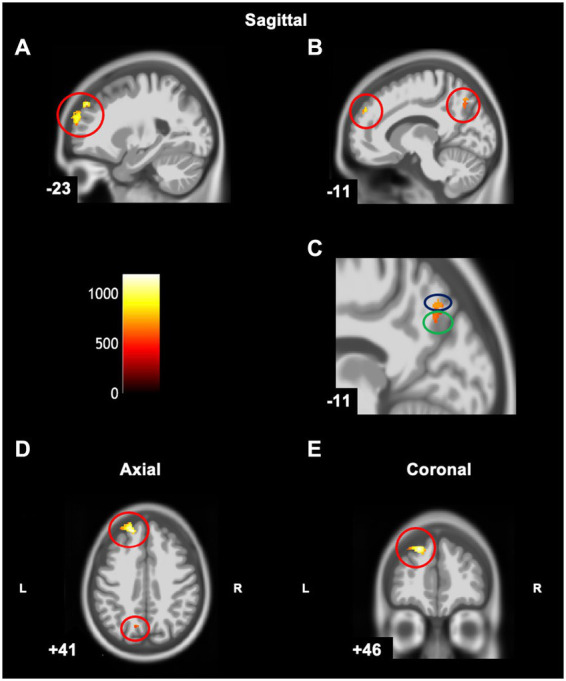 Figure 6