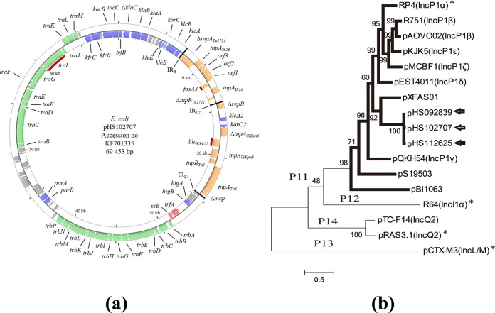 FIG 2