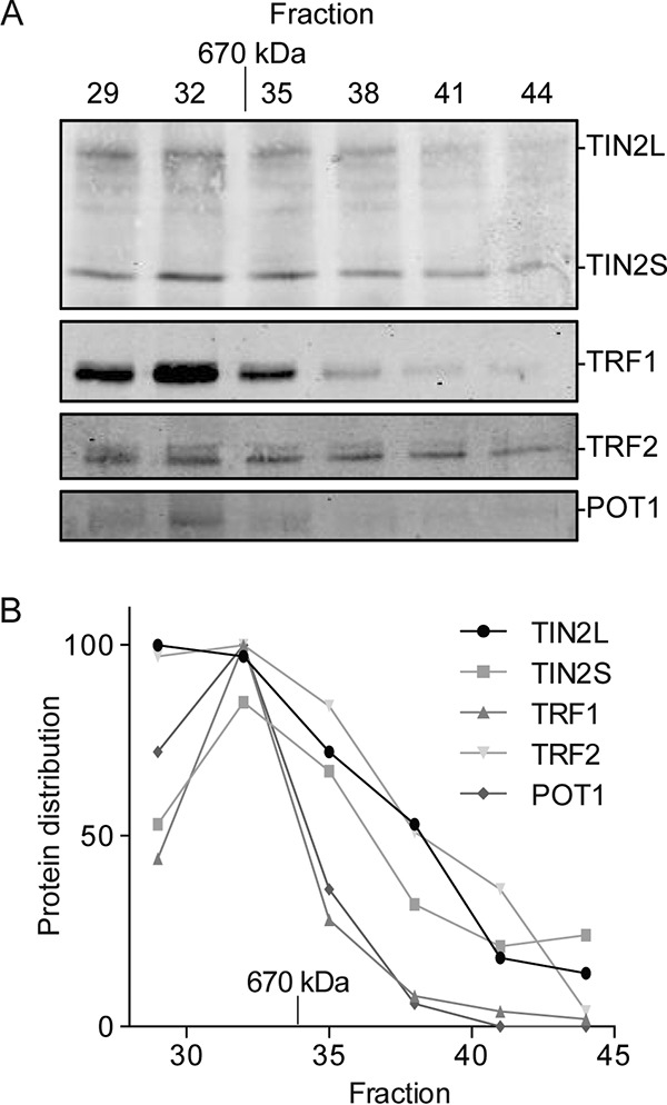 FIG 6