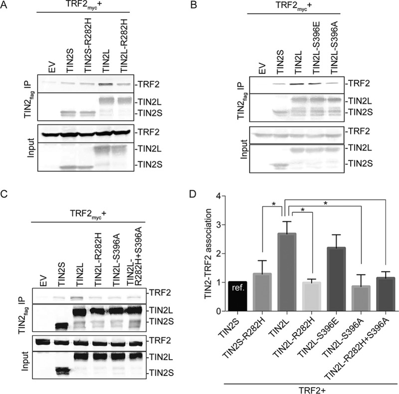 FIG 2