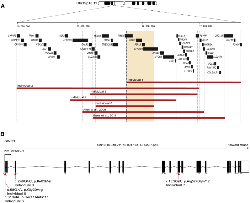 Figure 1