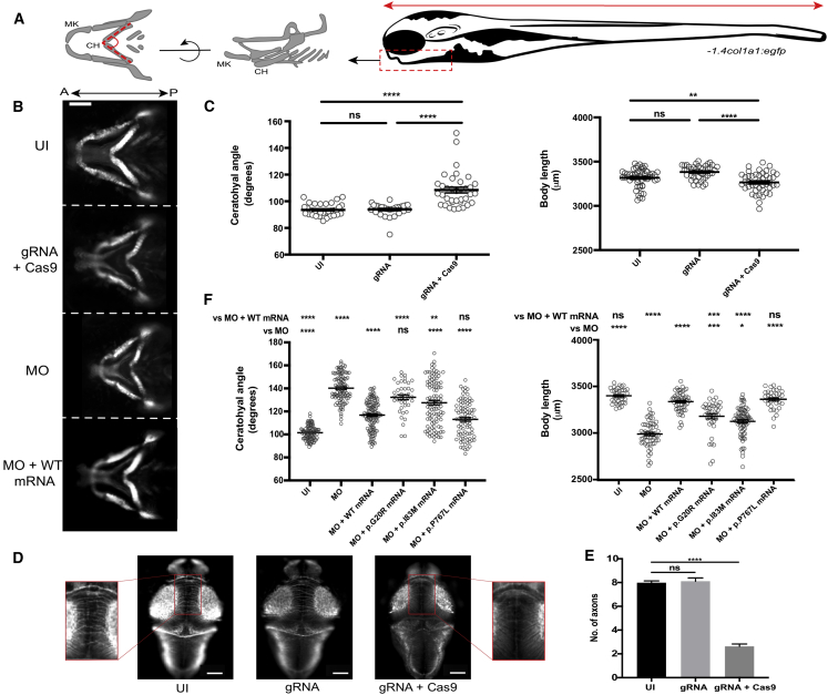 Figure 4