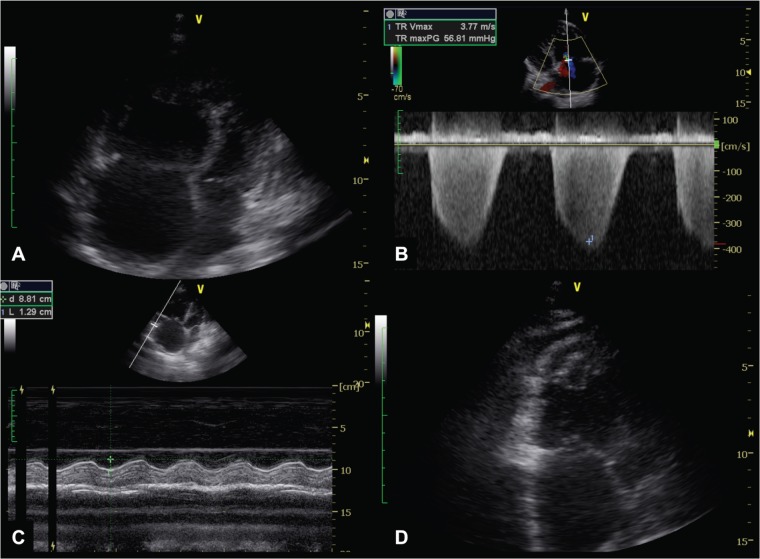 Figure 4