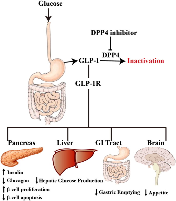 Fig. 2