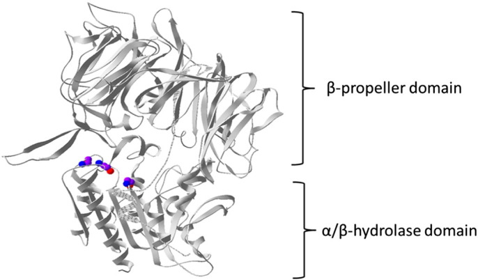 Fig. 1