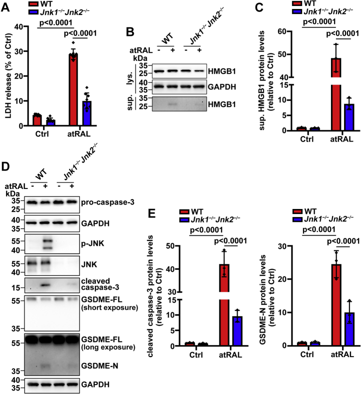 Figure 6