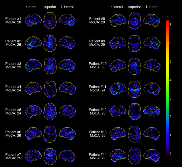 FIGURE 1.