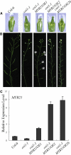 Figure 9.