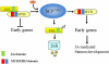 Figure 11.