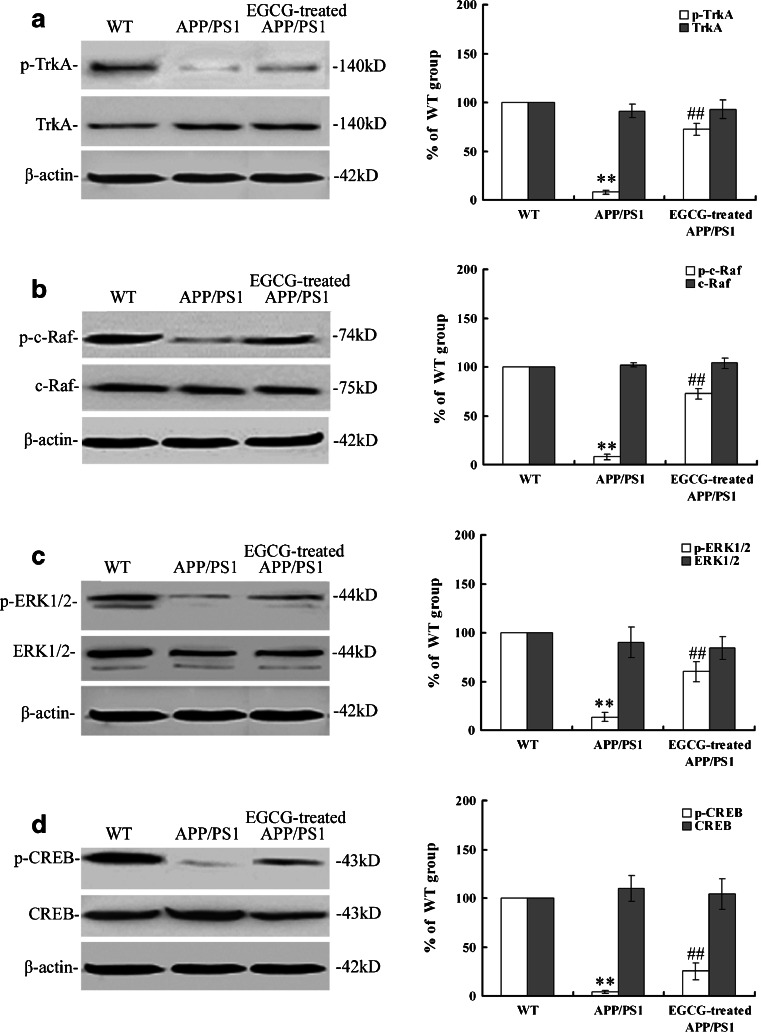 Fig. 11