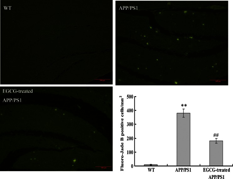 Fig. 9