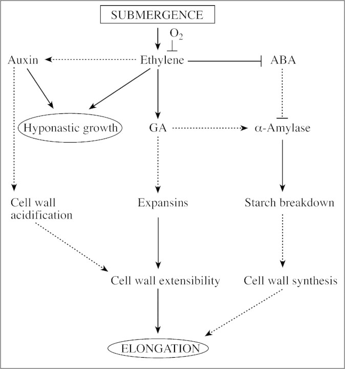 graphic file with name mcf116f4.jpg