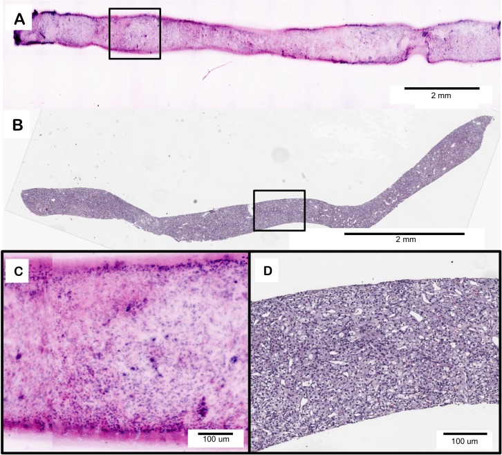 Fig 5