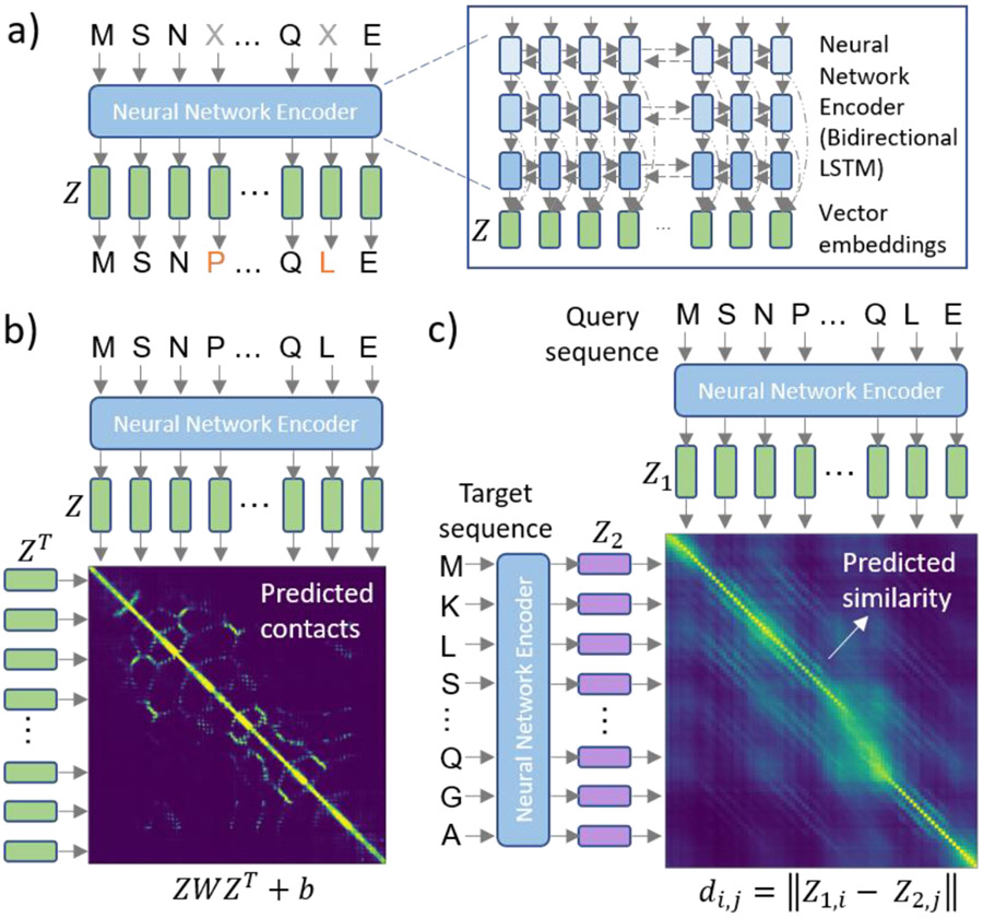 Figure 3 ∣