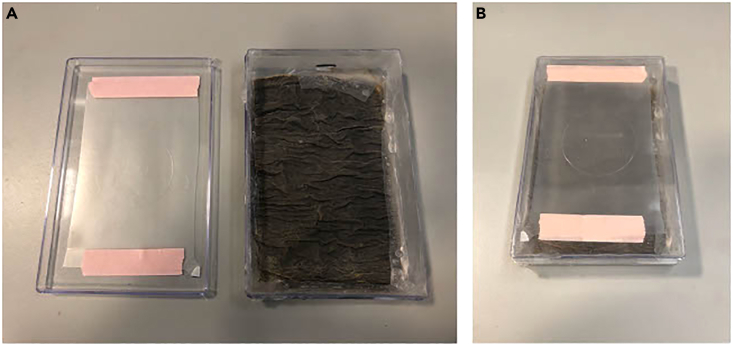 Figure 1