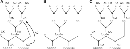 Figure 5.