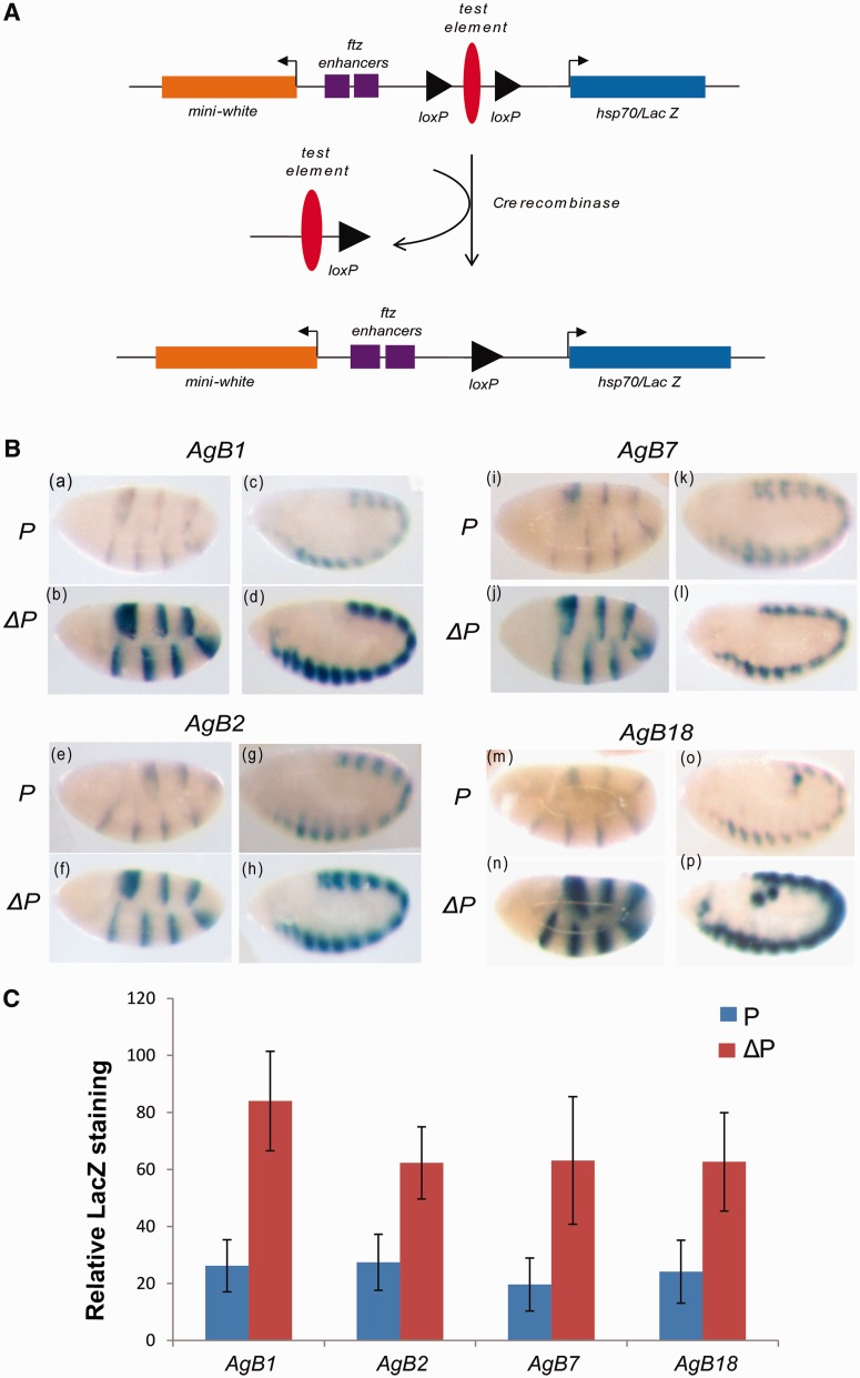 Figure 4.