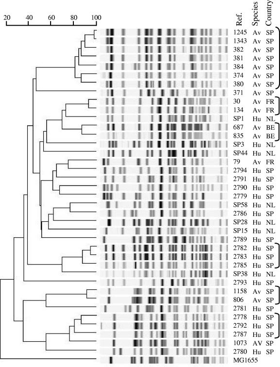 FIG. 1.