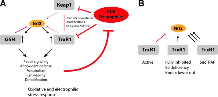 FIG. 7.