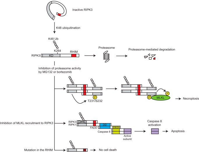 FIGURE 9.