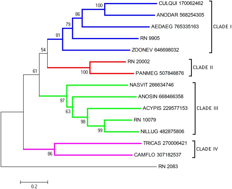 Fig 6