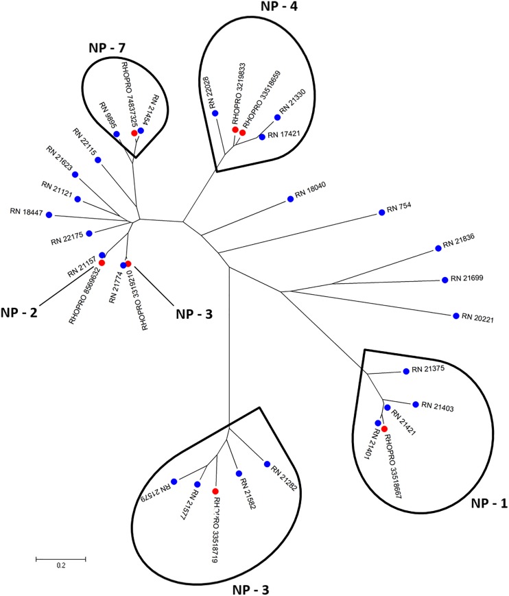 Fig 2