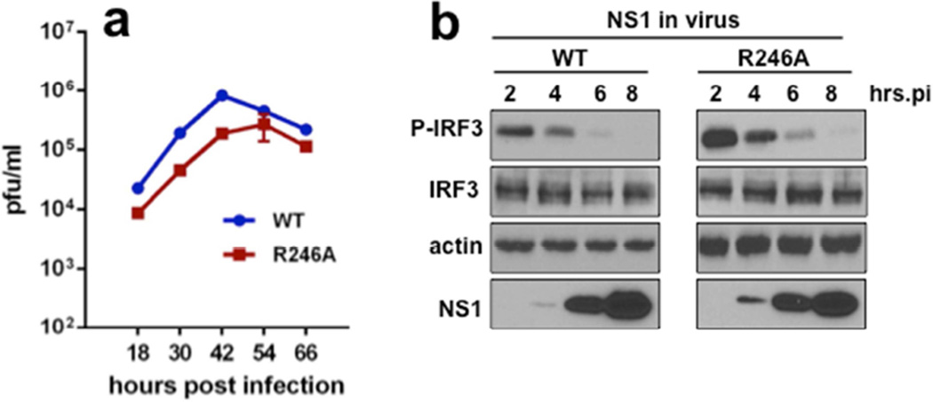 Fig. 7