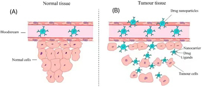 Fig. 13