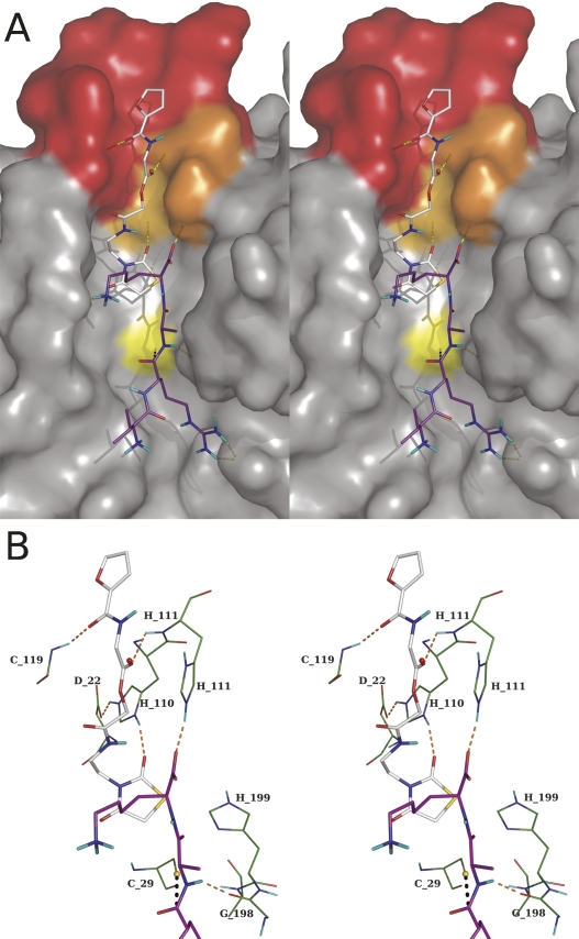 Figure 9.