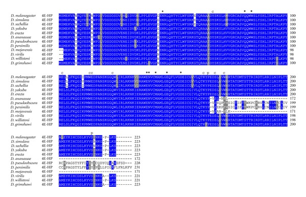 Figure 11