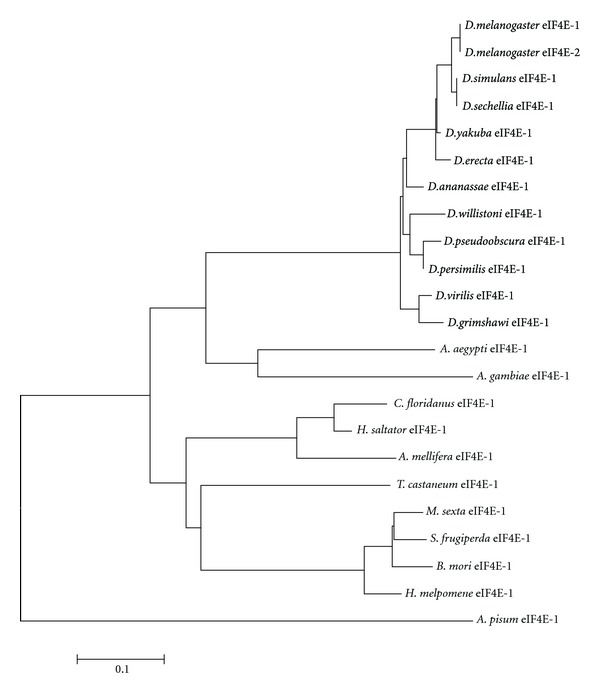 Figure 10