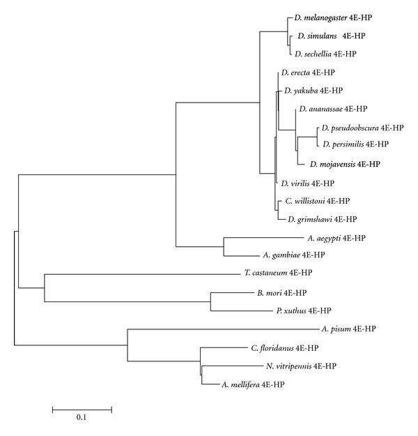 Figure 13