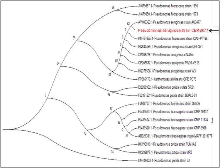 Figure 2