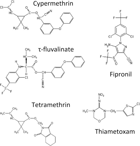 Fig 1