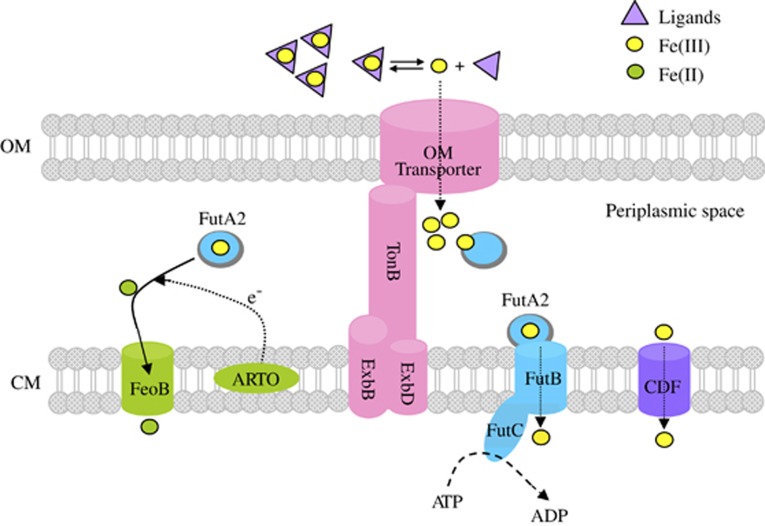 Figure 5